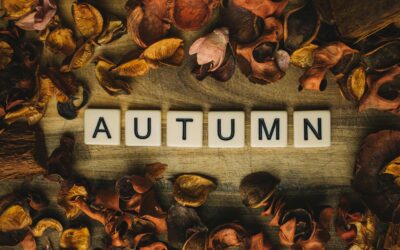 2025 Autumn Holidays