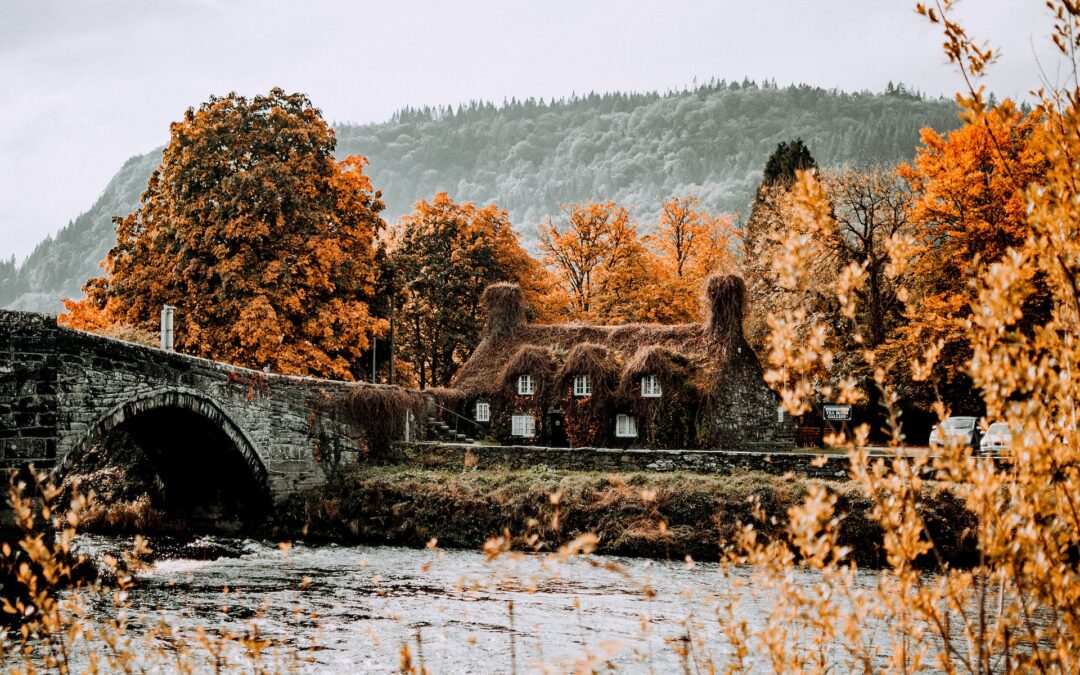 Bridge and trees around river in autumn