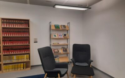 Leisure Reading within the Library 